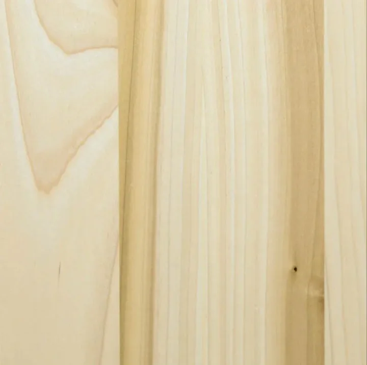 PG Maple Hybrid door species for paint finishes